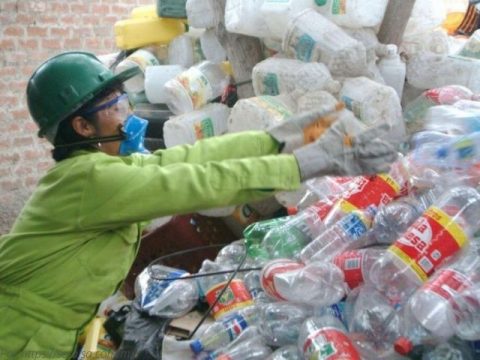 servicios (12)